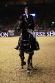 Cracker - 00629